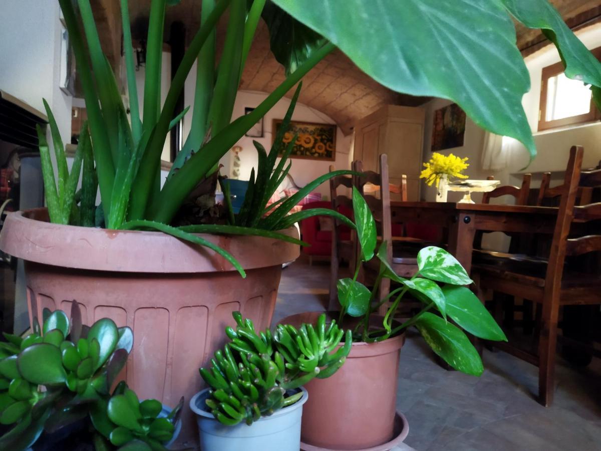 Romantic Loft 皮蒂利亚诺 外观 照片